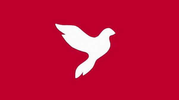 A dove on a red background